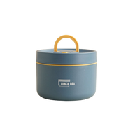 Meerlagige Geïsoleerde Lunchbox met GRATIS Draagtas - ThermoBox