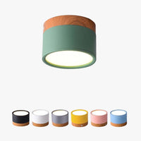 Morandi Stijl Moderne LED Plafondlamp - LumiModo