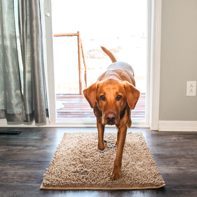 Honden Schoonloopmat - Boris