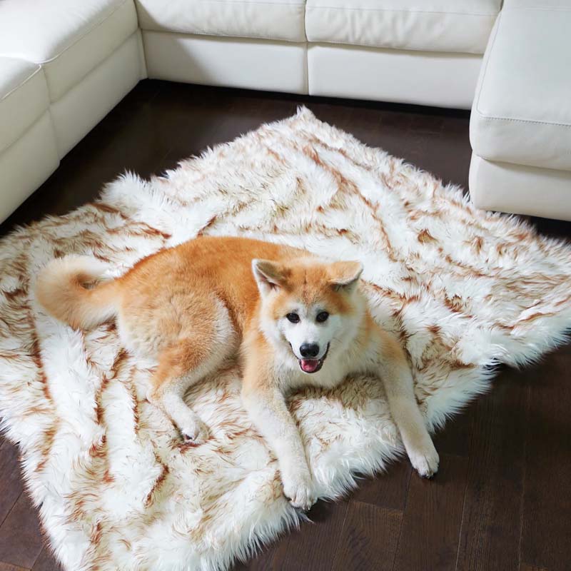 Luxe Waterdichte Huisdierendeken - CozyPaw™