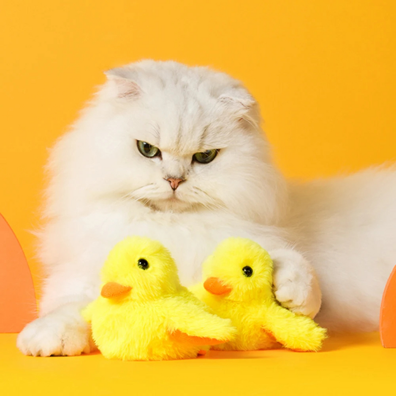 Flappende Eend Speelgoed voor Katten - DuckDash™ (1+1 GRATIS)