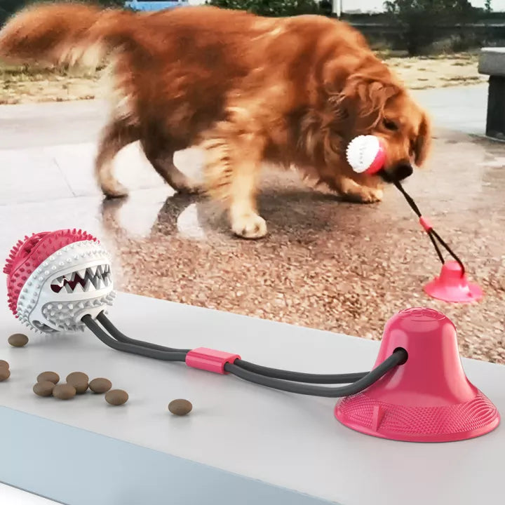 Stevig Hondentrektouw - PlayPaw