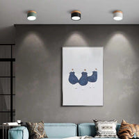 Morandi Stijl Moderne LED Plafondlamp - LumiModo