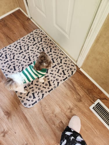 Lekvrije Huisdiermat - PetPaws Comfortmat
