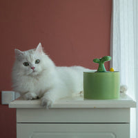 Kattenfontein - SpringFlow™