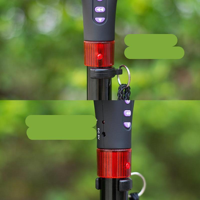 Nordic Walking Stokken met LED-Verlichting - ActiveStride Pro