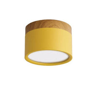 Morandi Stijl Moderne LED Plafondlamp - LumiModo