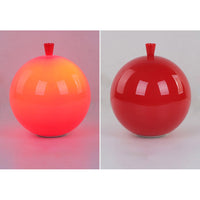 Compacte Moderne LED Ballon Plafondlamp - AuraLite