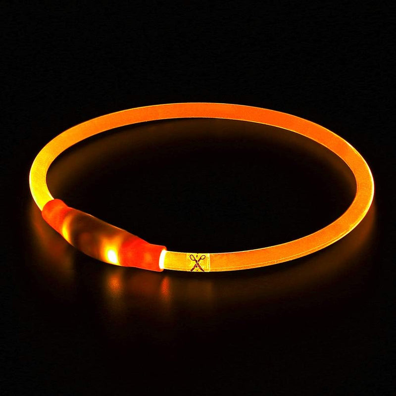 GlowSafe LED Hondenhalsband – Oplaadbaar USB Veiligheidslicht