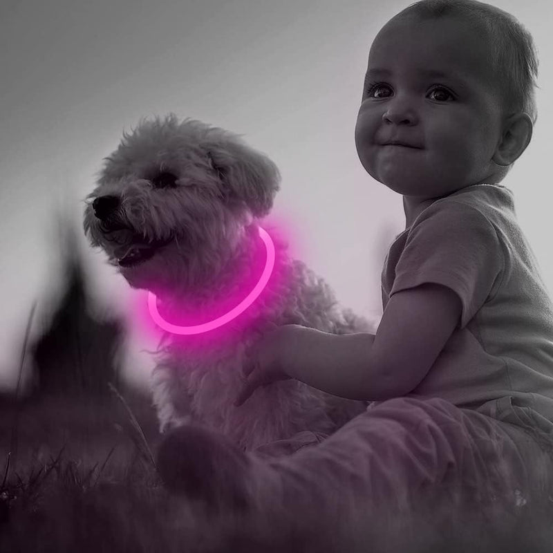 GlowSafe LED Hondenhalsband – Oplaadbaar USB Veiligheidslicht