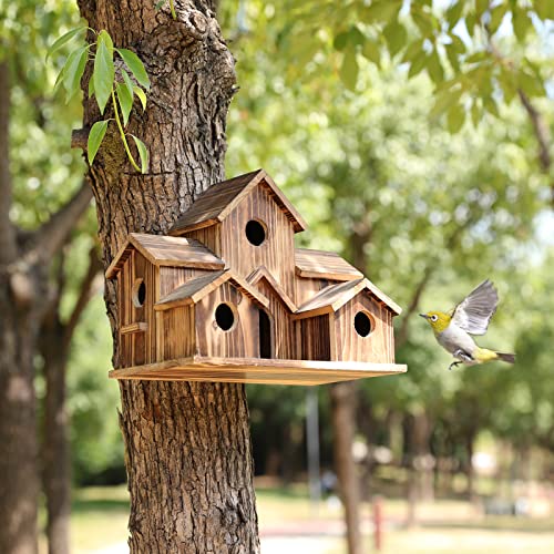 6 Gats Handgemaakt Vogelhuisje - NestHaven