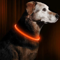 GlowSafe LED Hondenhalsband – Oplaadbaar USB Veiligheidslicht