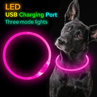GlowSafe LED Hondenhalsband – Oplaadbaar USB Veiligheidslicht