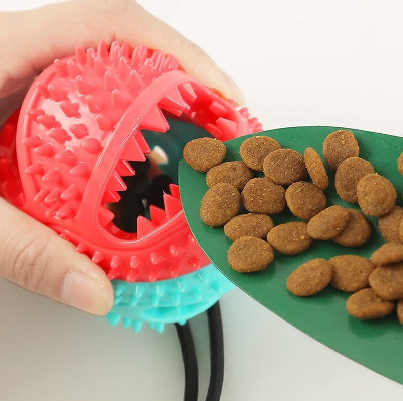 Stevig Hondentrektouw - PlayPaw