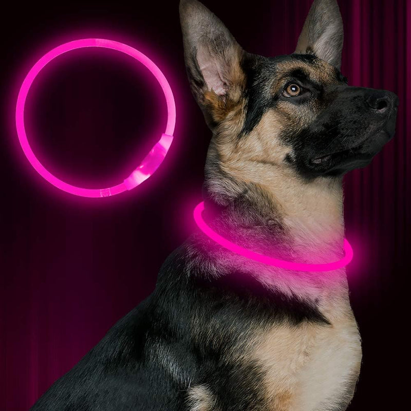 GlowSafe LED Hondenhalsband – Oplaadbaar USB Veiligheidslicht