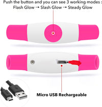 GlowSafe LED Hondenhalsband – Oplaadbaar USB Veiligheidslicht