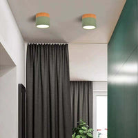Morandi Stijl Moderne LED Plafondlamp - LumiModo