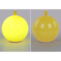 Compacte Moderne LED Ballon Plafondlamp - AuraLite