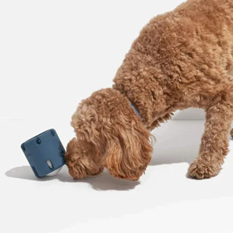 Gebit Verzorgend Speelgoed voor Honden - BounceChew