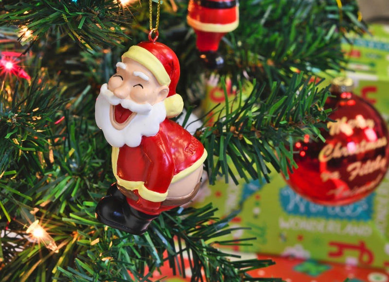 Grappige Kerstboomdecoratie - SantaSass