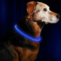 GlowSafe LED Hondenhalsband – Oplaadbaar USB Veiligheidslicht