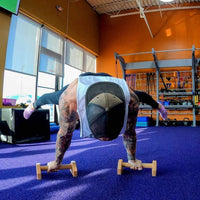 Calisthenics Houten Parallettes Bars – Stabiele Push-Up Bars