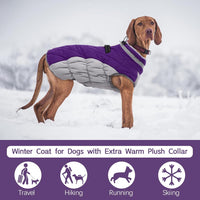 Warme Honden Winterjas met Ingebouwd Harnas