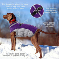 Warme Honden Winterjas met Ingebouwd Harnas