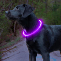 GlowSafe LED Hondenhalsband – Oplaadbaar USB Veiligheidslicht