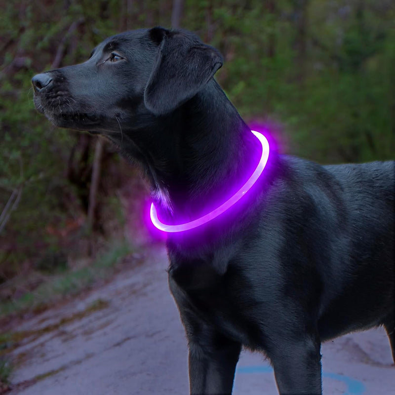 GlowSafe LED Hondenhalsband – Oplaadbaar USB Veiligheidslicht