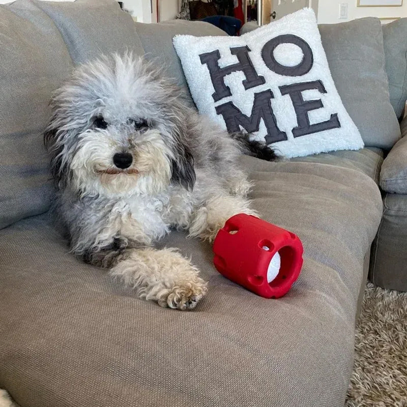 Gebit Verzorgend Speelgoed voor Honden - BounceChew