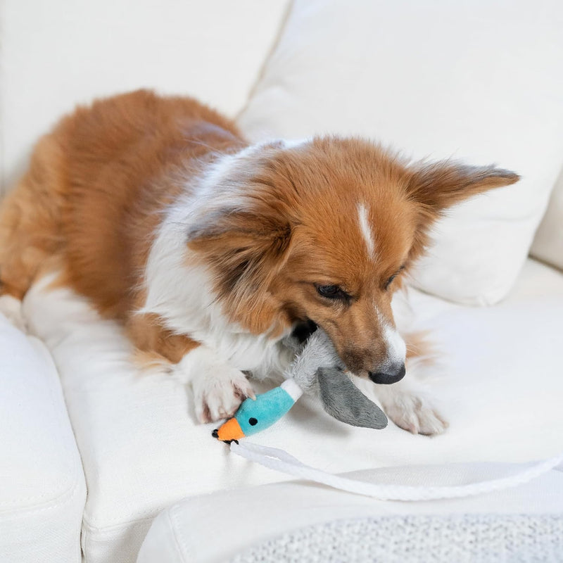 Tail Teaser Hondenspeelstok - Perfect voor Spel en Beweging!