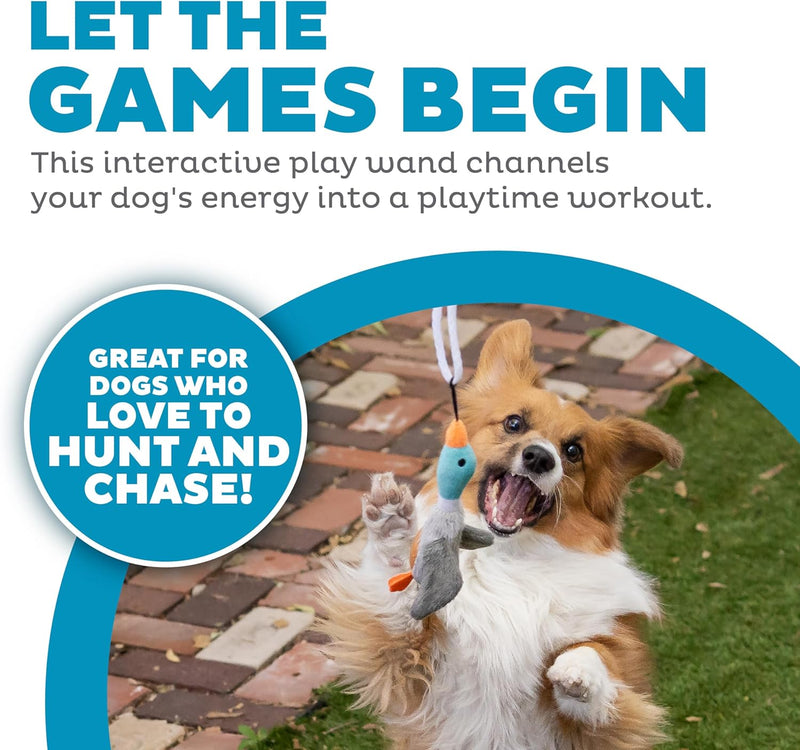 Tail Teaser Hondenspeelstok - Perfect voor Spel en Beweging!