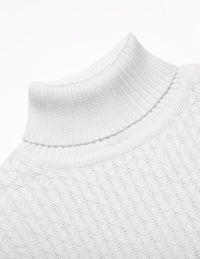 Casual Gebreide Heren Coltrui - Sander