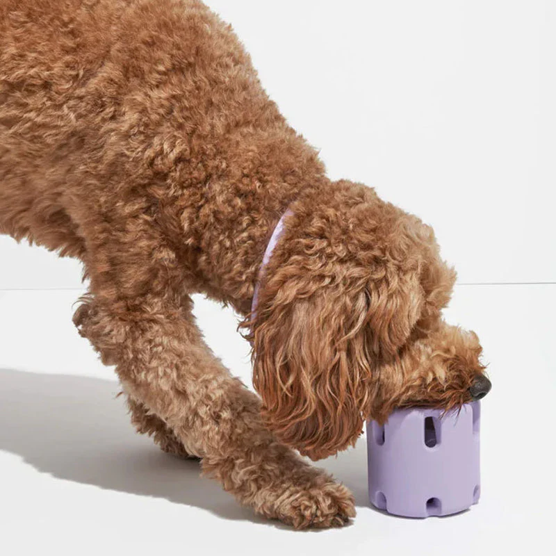 Gebit Verzorgend Speelgoed voor Honden - BounceChew