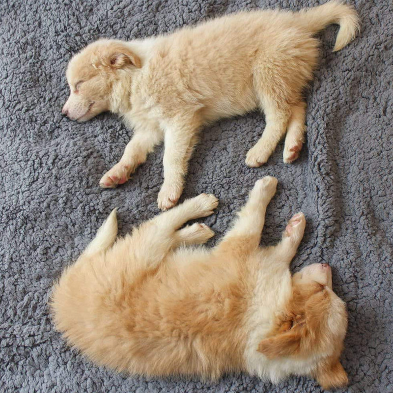 Zachte Puppydeken - SnuggleFur Fleece