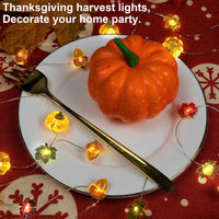 3D Eikel Herfst Lichtsllinger (3 m) - HarvestGlow