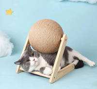 Veelzijdig Kattenspeeltje - CatScratch Wonderland