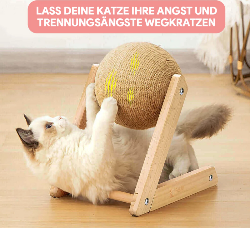 Veelzijdig Kattenspeeltje - CatScratch Wonderland