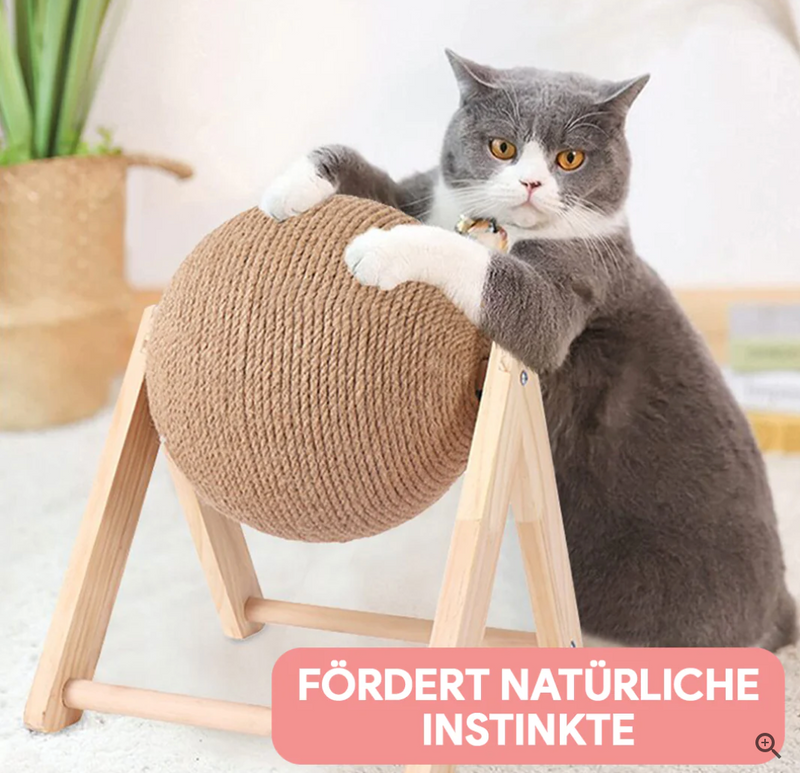 Veelzijdig Kattenspeeltje - CatScratch Wonderland