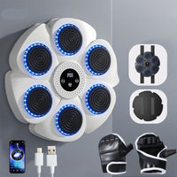Interactieve Smart Boksmachine - PunchTech