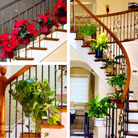 Hangende Railing Plantenhouder – Balconia