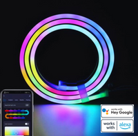 Flexibele LED Strip - FlexiGlow LED