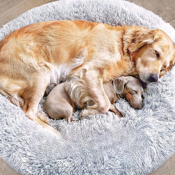 Hondenmand Fluffy Plus – Het Origineel