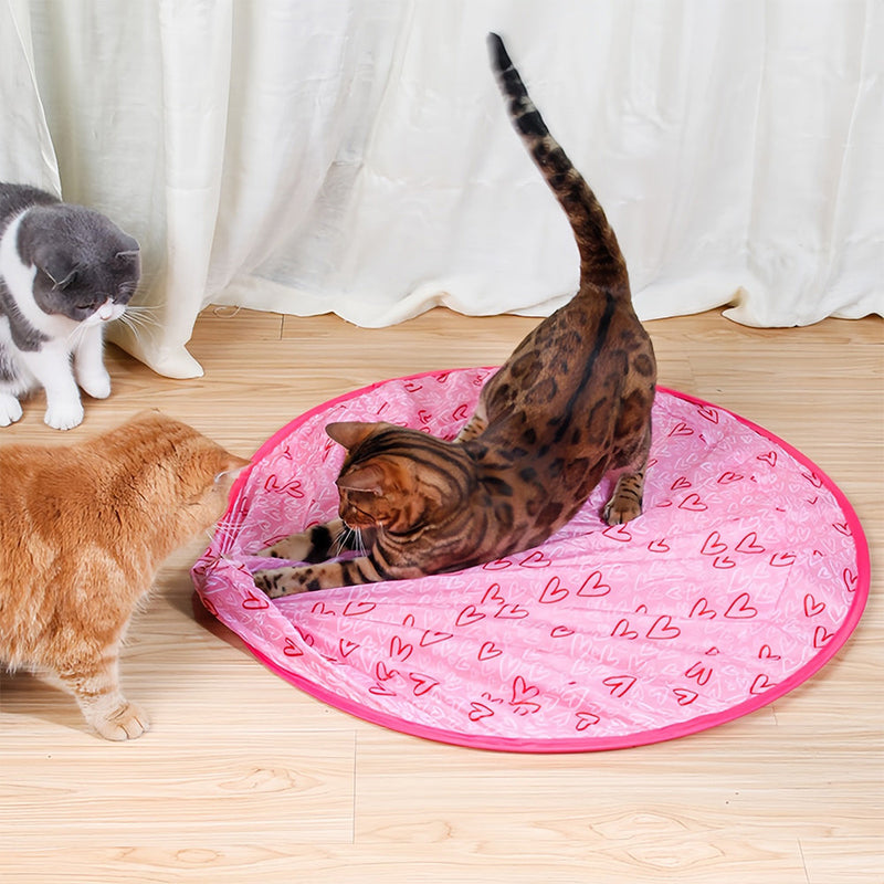 Interactief Bewegend Speeltje voor Katten – WhiskRoll