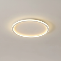 Moderne Deckenleuchte - Roomlight