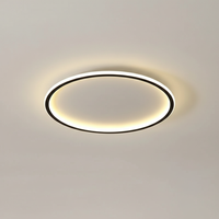 Moderne Deckenleuchte - Roomlight