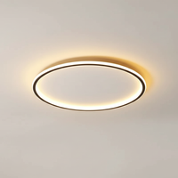 Moderne Deckenleuchte - Roomlight