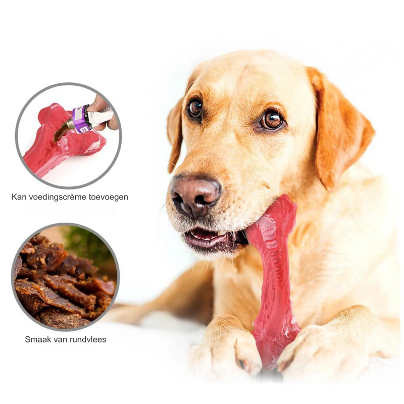 De Speelse Tandverzorger voor Honden - BuddyChew