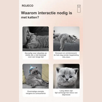 Interactief Laser Kattenspeelgoed - LaserPaw